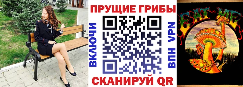 Галлюциногенные грибы мицелий  купить закладку  Наволоки 